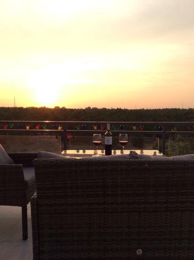 Paradise Terrace House Quinta do Conde المظهر الخارجي الصورة